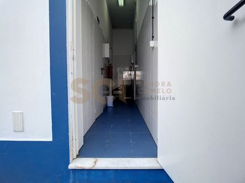 PT Serpa Beja, 14 Bedrooms Bedrooms, ,2 BathroomsBathrooms,1,Arkadia,32826