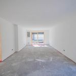 Three Room Apartment - Plaus. Modern newly built apartment with garden and terrace