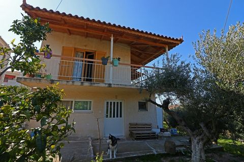 Huset ligger vid foten av berget Kyparissia- Messinia. Två våningar 80 kvm.m. Den första våningen innehåller 2 sovrum, 1 vardagsrum, 1 kök och ett badrum. Den stora terrassen ger dig möjlighet att njuta av ditt kaffe eller maten med utsikt över den m...