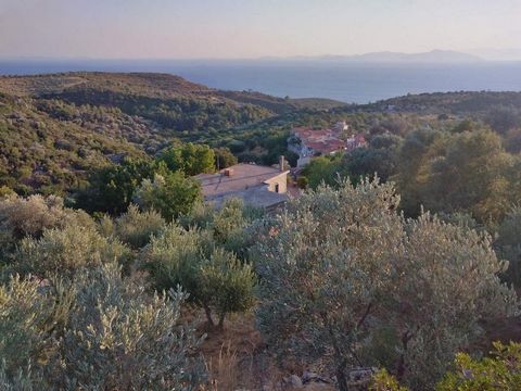 Um terreno para venda na aldeia de Skoureika, ilha de Samos. O terreno tem 1000 m², tem um prédio inacabado construído em pedra de 35 m², 13 azeitonas, está dentro do assentamento e tem uma vista fantástica do mar Egeu porque está localizado no ponto...