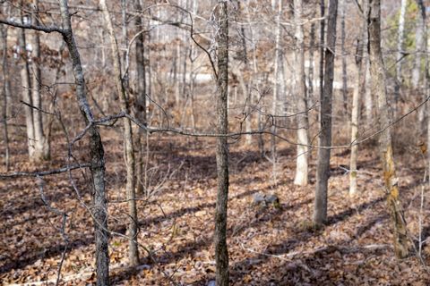 Located in Poplar Bluff. 1.62 Acres of Wooded Land on a Well-Maintained Paved Road in Buttler County, Missouri with Power Available. Only $499/MonthPoplar Bluff, Buttler County, Missouri This 1.62-Acres in Butler County, MO is an Unrestricted propert...