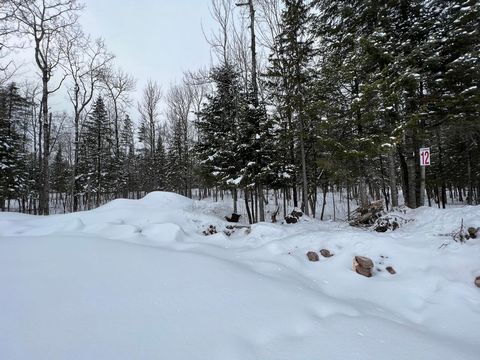 Beautiful lot #12 ready to build. Very good location near all services. You will be charmed by its peaceful environment! This place is perfect for outdoor lovers! Close to several navigable bodies of water! Only 45 minutes from Mont-Laurier and 1h50 ...