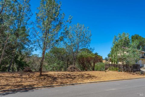 Embrace Lake Living Paradise at Lake Berryessa! Discover the perfect canvas for your dream home with this lot nestled in the serene beauty of Lake Berryessa. Offering a seamless blend of convenience and tranquility, this lot boasts a desirable flat t...