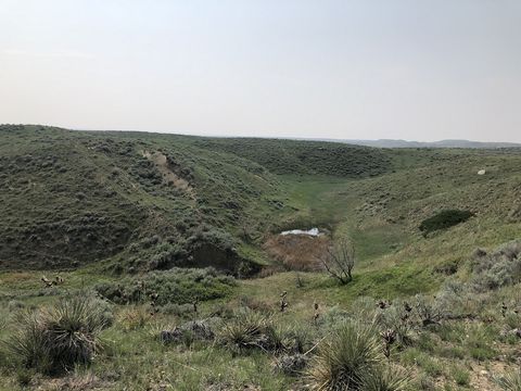 La propriété présente un mélange de prairies ouvertes indigènes, de collines, de ressources en eau naturelles abondantes avec Sage Creek fournissant de l’eau de façon saisonnière. LandCette parcelle est de 320 acres et les frontières près de 60 000 a...