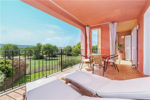 Appartamento in complesso residenziale con vista libera. Appartamento di 146m2 circa con terrazza di circa 32m2 con vista libera, ampio soggiorno, cucina attrezzata e attrezzata, 3 camere matrimoniali con armadi, 3 bagni (2 en suite), servizi igienic...