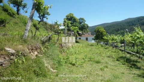 Land for sale, with an area of 4,910 m2, possibility of construction and good sun exposure. Situated 5 minutes from Nespereira with good access. Nespereira, Cinfães. Ref.:MC05994 FEATURES: Land Area: 4 910 m2 Area: 4,910 m2 Useful Area: 4 910 m2 Ener...