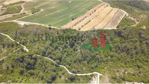 Rustic land, located in Arruda dos Pisões with 10760 m2, composed of some pine trees and bush. The land is located in a hillside area. Energy Rating: Exempt Rustic Land, located in Arruda dos Pisões with 10760 m2. Energy Rating: Exempt
