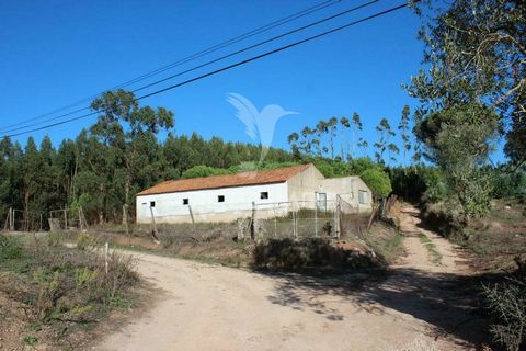 Warehouse with land and approval for rural tourism Large warehouse with 144m2 and land with a total of 4,680m2 inserted in the heart of Serra de Aire e Candeeiros. The property was used for animal husbandry. It is located in a very quiet area surroun...