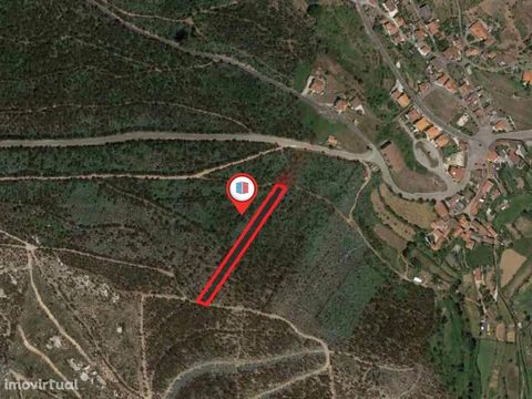Terreno rústico com 1.410 m2, localizado a 4 km da EN 222 (Porto-Castelo de Paiva) e a 700m da Junta de Freguesia de Raiva. Coordenadas de GPS: 41.024069, -8.332780 .