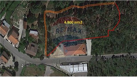 Land for the construction of housing, with a total area of 4800 m2, in place of Tapado Novo, in Cabeça Santa, Penafiel. Elaborated project with total construction area of 259.25 m2, with construction permit of 2013. Beautiful scenery.