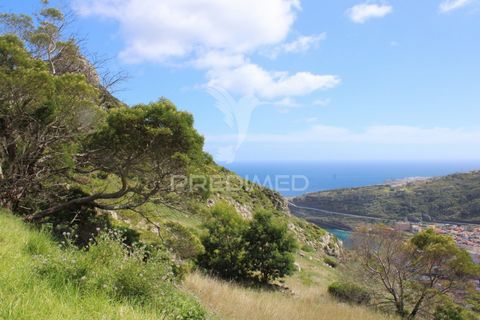 Grond te koop in Machico, een niet te missen investeringsmogelijkheid met een prachtig uitzicht en een toplocatie. Met een bouwindex van 0,1 maakt dit land de bouw mogelijk van maximaal 2.080 vierkante meter, ideaal voor ambitieuze projecten. De tota...