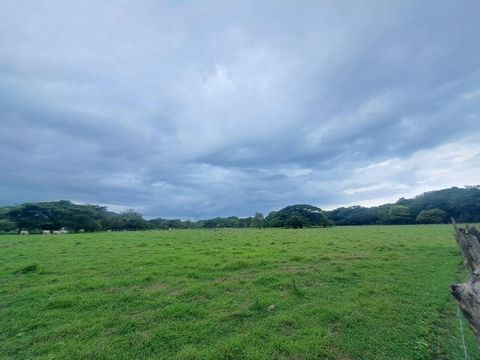 Nestled in the serene and picturesque community of La Garita, Tamarindo, this expansive lot for sale offers a rare opportunity to own a versatile property that is brimming with potential. Surrounded by lush greenery and abundant wildlife, the area ex...