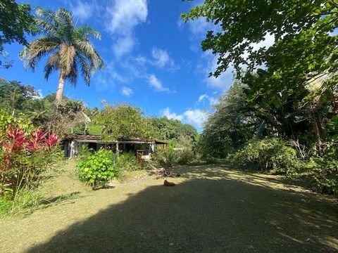 Pięć mil od miasta Port Antonio leży ten prosty stiukowy i drewniany domek z 2 sypialniami, położony we własnym pięknym ogrodzie na 1,66 akrach żyznej ziemi, oferującej spokojne i owocne życie. W domku znajdują się 2 sypialnie, jedna łazienka, salon,...