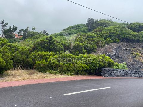 Terreno situato nella zona di Casteletes, parrocchia di Urzelina con una superficie di 18 392 m2. Questo terreno situato nella zona più desiderabile della parrocchia è composto da due fronti, uno rivolto a nord verso la strada regionale e l'altro ver...