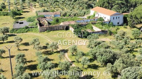 **CAŁY FILM W DODATKOWYM LINKU** Rustykalna Finca o powierzchni 218 hektarów pięknych pastwisk, niesamowitych pastwisk i widoków 360º, z 1 Cortijo Grande o powierzchni około 3.100m² ogrodzenia i 2.500m² zbudowanej, 1 Stary Klasztor z XVI wieku o powi...