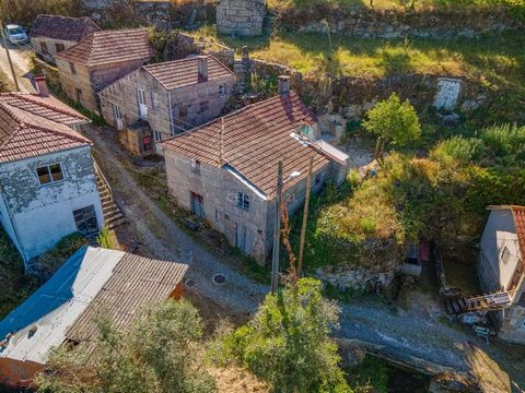 Apresentamos uma quintinha inserida num terreno urbano situada em São Simão, Amarante, com uma área generosa de 3480 metros quadrados e com uma vista desafogada sob o vale do rio Tâmega. Esta propriedade inclui uma casa para restaurar e duas ruinas, ...