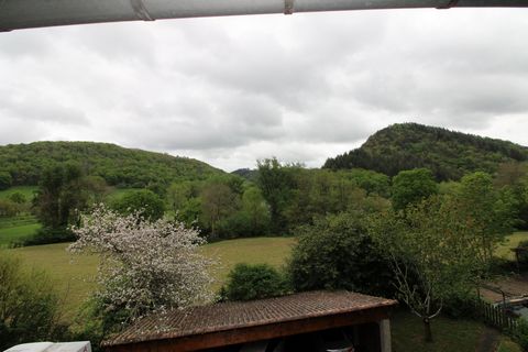photo no. 12