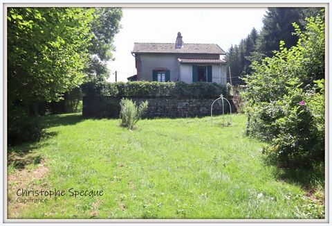 A vendre dans un lieu dit de chabreloche, maison pleine de charme avec terrain