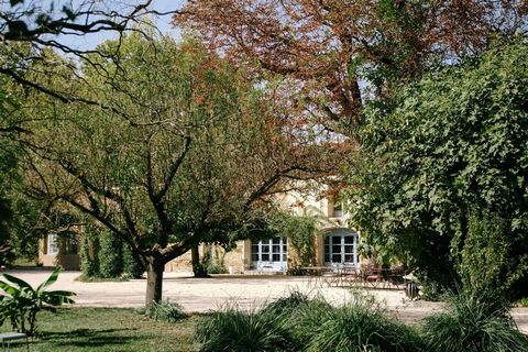 photo no. 14