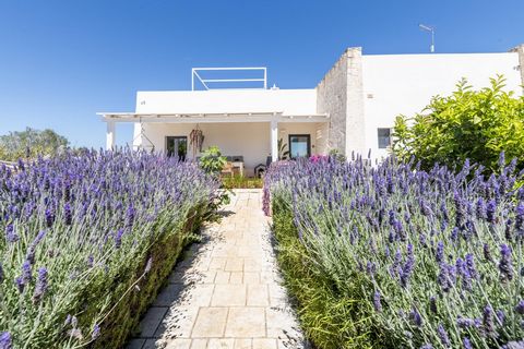 Villa Valentina è una proprietà di lusso contemporaneo di recente costruzione in una posizione esclusiva e riservata con una splendida vista panoramica sul Mare Adriatico. Si trova su una collina vicino all'incantevole borgo di Carovigno con il suo f...