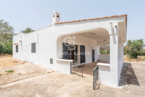 In een rustige omgeving, op het ontspannende platteland tussen Ostuni en San Michele Salentino, charmante villa van 100 m², gedeeltelijk gerenoveerd, met 3500 m² grond. Het huis bestaat uit een grote volledig ingerichte entreekeuken met uitzicht op e...