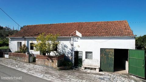 Villa rustica con 5 camere a 10 minuti da Fátima! Dispone di 2 bagni, un soggiorno e sala da pranzo, un salone con camino, ripostigli e annessi sul retro, oltre allo spazio mansardato che può essere utilizzato. Questa villa si trova in un contesto ru...