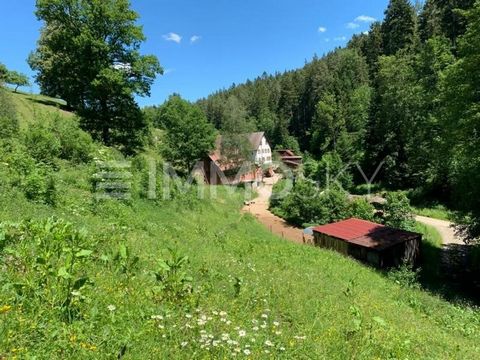 ** In vendita è questa fattoria agricola con un mulino funzionante in una posizione idilliaca e appartata.** La spaziosa casa di campagna si trova in una posizione fantastica in mezzo alla natura. La struttura si trova nella parte settentrionale dell...