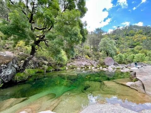 Ce développement de luxe au cur de Vila do Gerês présente une opportunité d'investissement unique dans le nord du Portugal, en particulier pour ceux qui apprécient la fusion entre nature et confort moderne. Situé dans l'une des régions les plus reche...