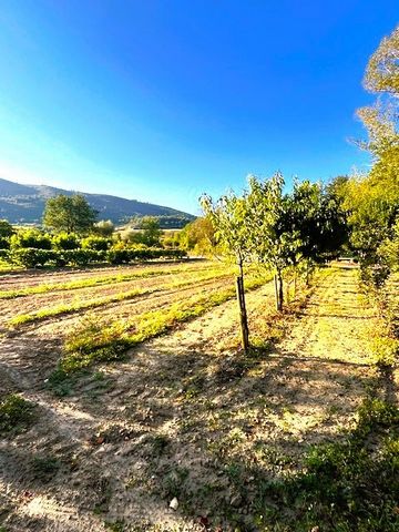 Boomgaard-moestuin, omheind en begrensd door een kleine rivier met een privéstrand en een waterpoel, om te zwemmen en water te geven (5 kleppen verspreid over het terrein) van 2.300m2. Midden in een idyllische omgeving van sereniteit en rust, met 60 ...