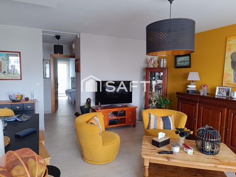 photo no. 11