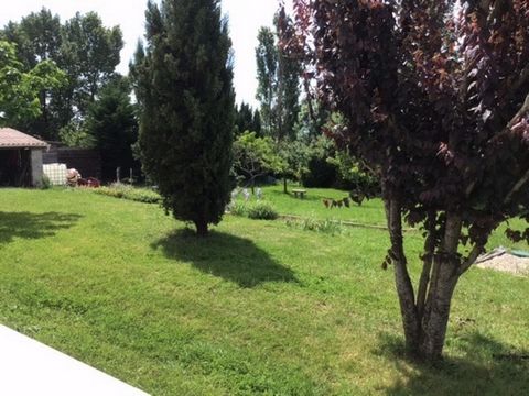 photo no. 13