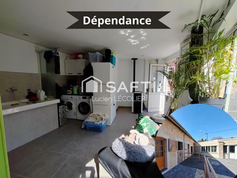 photo no. 12