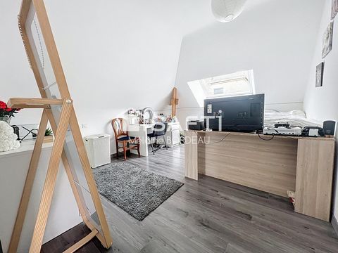 photo no. 15
