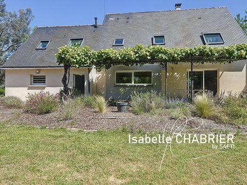 ETRICHE, GRANDE MAISON FAMILIALE AVEC BEAU TERRAIN