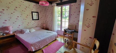 photo no. 12