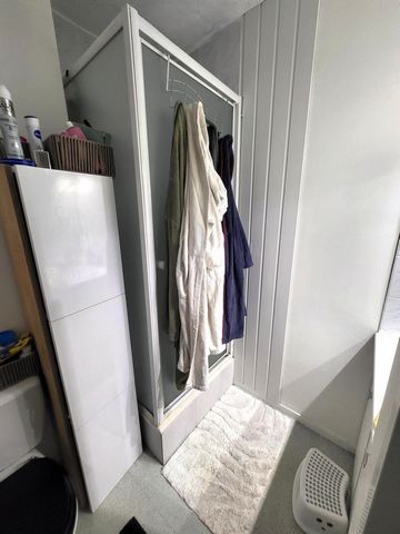 photo no. 8
