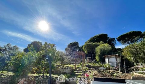 photo no. 16