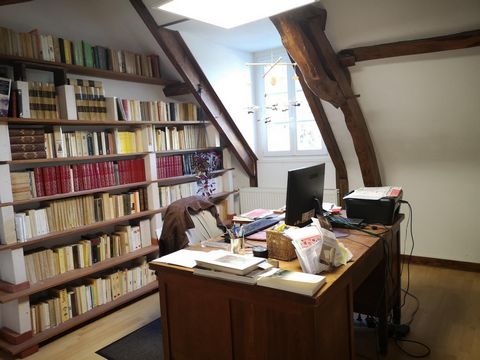 photo no. 6