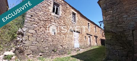 photo no. 3