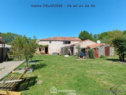photo no. 13