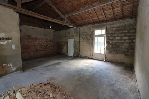 photo no. 9