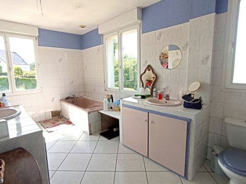 photo no. 8