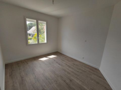 photo no. 12
