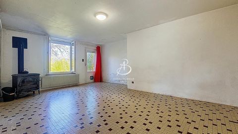 photo no. 8