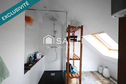 photo no. 9