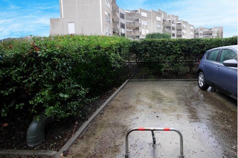 photo no. 1