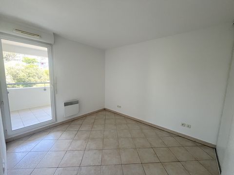 photo no. 8