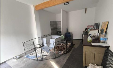 photo no. 13