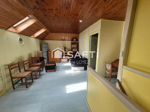 photo no. 11