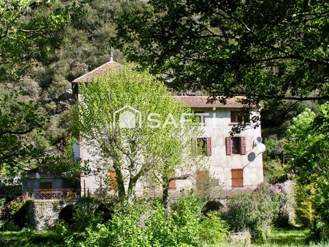 Appartement et gites au coeur des Cévennes